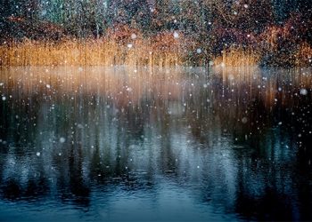 How To Still Enjoy The East End Arts Scene – From The Comfort Of Your Own Home