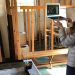Pollock-Krasner House And Study Center Offering Virtual Tours