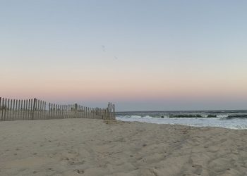 Explore the Outdoors from Your Home with the Digital CCE Marine Program