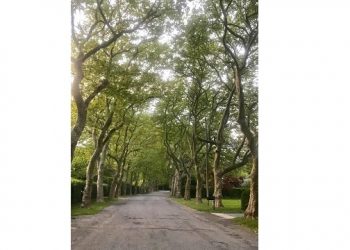 Sixty-Something: The Road Back To Normalcy In The Hamptons