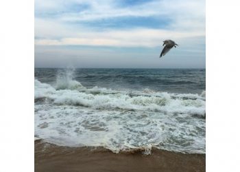 East Hampton Town Enforcing Parking Permits Early