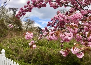 Sixty-Something: The Sweetest Sounds In The Hamptons Might Come From The Birds Of Springtime