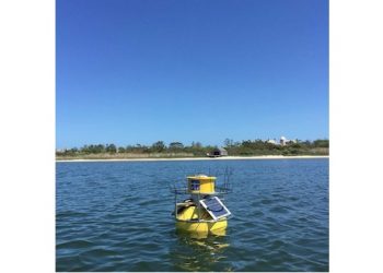 Lake Agawam Conservancy Installs Water Quality Buoy At Lake Agawam Park