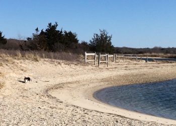 Sixty-Something: Some Hamptons Summer Takeout Picnic Locations