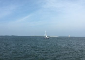 Save the Sound, Future Frogmen, And Patagonia Hosting Virtual East Coast Community Cleanup