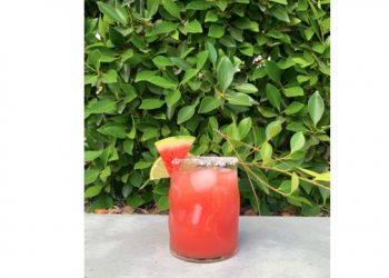 TGIF Because It’s National Tequila Day