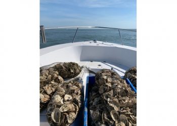 INTERVIEW: Kimberly Barbour, Cornell Cooperative Extension Marine Program Outreach Manager, On The Spat-on-shell Oyster Reef In Lake Montauk