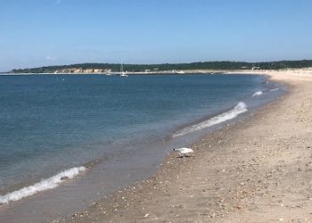 Sixty-Something: August In The Hamptons Is Solid Gold For Spending A Day At Sea