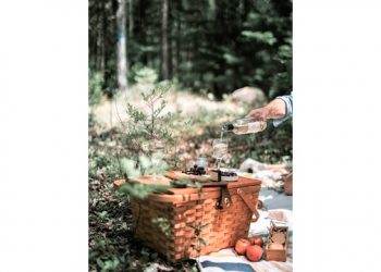 Take-Home Charcuterie Picnic Baskets Benefits Southampton History Museum