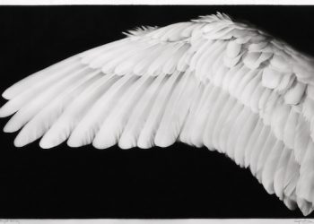 INTERVIEW: Artist Robert Longo On “All For The Hall,” A Guild Hall Benefit Exhibition, The Importance Of The East Hampton Multidisciplinary Center And More