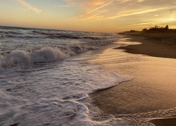 Hamptons Real Estate Market Sees Unprecedented Growth