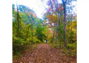 Sixty-Something: It’s Autumn In The Hamptons And Autumn In Our Lives