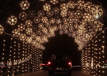 INTERVIEW: BOLD Media CEO Matthew Glaser Proclaims This Year’s Riverhead Holiday Light Show To Be The Best Yet