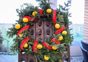 Lighting Of The Vines Charity Wreath Auction To Support Bridgehampton Child Care & Recreational Center