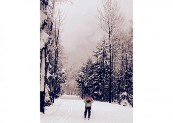 Sixty-Something: My Lifelong Appreciation Of Pine Trees