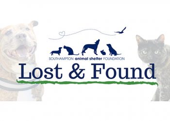 Hamptons-Based Animal Shelter Launches Lost & Found Facebook Page In Hopes Of Reuniting Lost Pets With Their Families