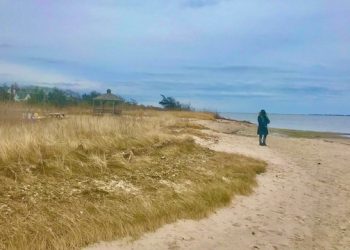 Sixty-Something: The Beach Is Always There For You