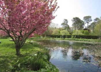 Family Day At The LongHouse Reserve