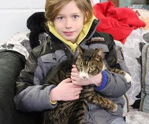 Social Media Helps Reunite Lost Animal With His East Hampton Family