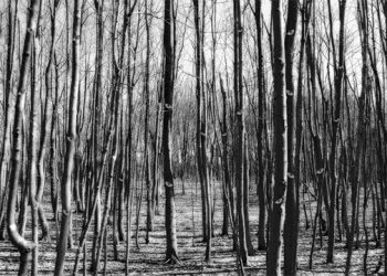 Annual Winter Exhibition To Encompass Works By More Than 30 East End Artists