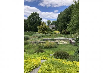 INTERVIEW: Community Horticulture Specialist Roxanne Zimmer On CCE Suffolk’s Upcoming Virtual Gardening School