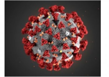 Pre-Registration Opens For East Hampton Town COVID-19 Vaccine Site
