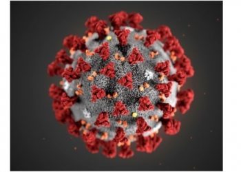 State-Operated Mass COVID-19 Vaccination Site To Open In Southampton