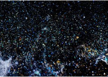 Southampton Arts Center’s Latest Exhibition To Center On Activism And Conservation