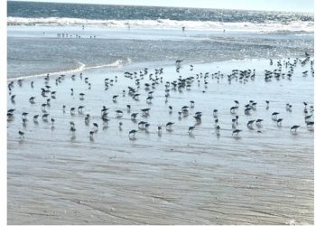 Sixty-Something: The Awakening And Countdown To Memorial Day