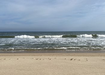 Annual Hamptons Beach Cleanup To Take Place The Weekend After Earth Day