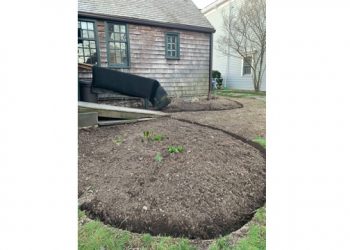Help The Sag Harbor Historical Society Plant An Herb Garden In Celebration Of Earth Day
