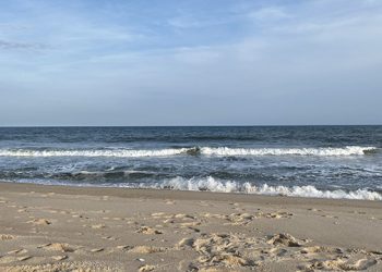 Hampton Lifeguard Association Hosting Summer Kick-Off Benefit – Takeout Edition