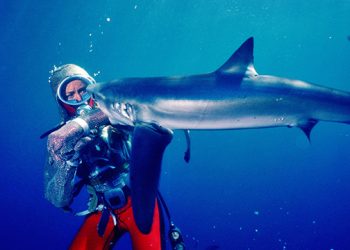 National Geographic Documentary Films’ “Playing With Sharks” Screening At Sag Harbor Cinema