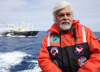 INTERVIEW: Jacqui Lofaro Talks Hamptons Doc Fest’s Docs Equinox