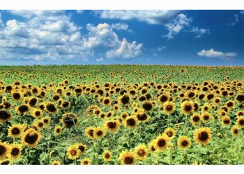 INTERVIEW: Artist Paul Dempsey Talks A Duo Of Memorial Day Weekend Art Events