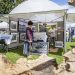 Sag Harbor Chamber Arts & Crafts Fair To Be Held Over Father’s Day Weekend