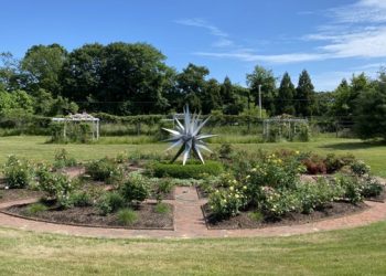 Peconic Land Trust Partners With C Fine Art On “Uncommon Ground IV”