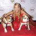 Beth Stern, Ice-T, And Coco Austin Support Long Island Bulldog Rescue’s 15th Annual Bash For The Bulldogs
