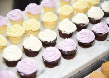 Andrea Stark and Pamela Morgan host High Tea for Samuel Waxman Cancer Research Foundation