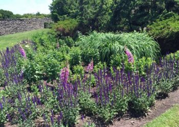 Hamptons Landscape Pleasures Shows Off Award-Worthy East End Properties