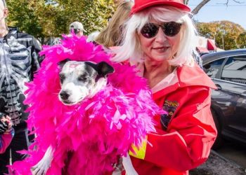 15th Annual Little Lucy’s Halloween Pet Parade
