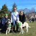 Hamptons Animal Shelter Adoptees Steal The Show At East End St. Patrick’s Day Parade