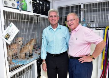 Hamptons Designer Showhouse Benefit Offers Top Designs And Puppy And Kitten Galore