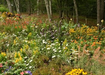 The Watermill Center’s “FADA: House of Madness” Raises Over $2 Million