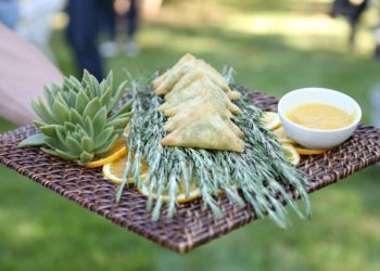 Debbie Harry, Suzanne Vega, Rufus Wainwright, And More Perform At The Perfect Earth Project’s Third Biennial Family Picnic And Concert