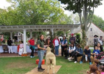 Southampton Historical Museum Takes Visitors Back To The 19th Century During Harvest Fair