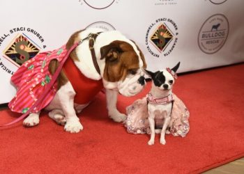 Beth Stern, Jill Rappaport, Dolores Catania, And Tom Murro Attend Bash For The Bulldog
