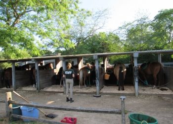 Stony Hill Stables Celebrates Local East End Equestrians During Annual Summer Benefit