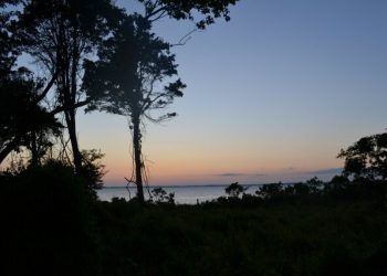 The Thomas Moran Trust’s Garden Party Toasts To The Final Phase Of The Moran Studio Restoration