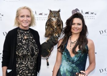 Katie Cleary, Zara Beard, And Dwayne Hill Host Veterinarians International’s “Trunks Of Love”